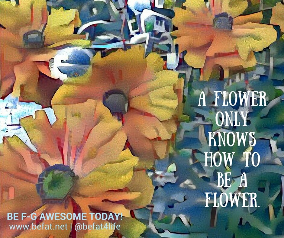 Inspirational quote|befat.net